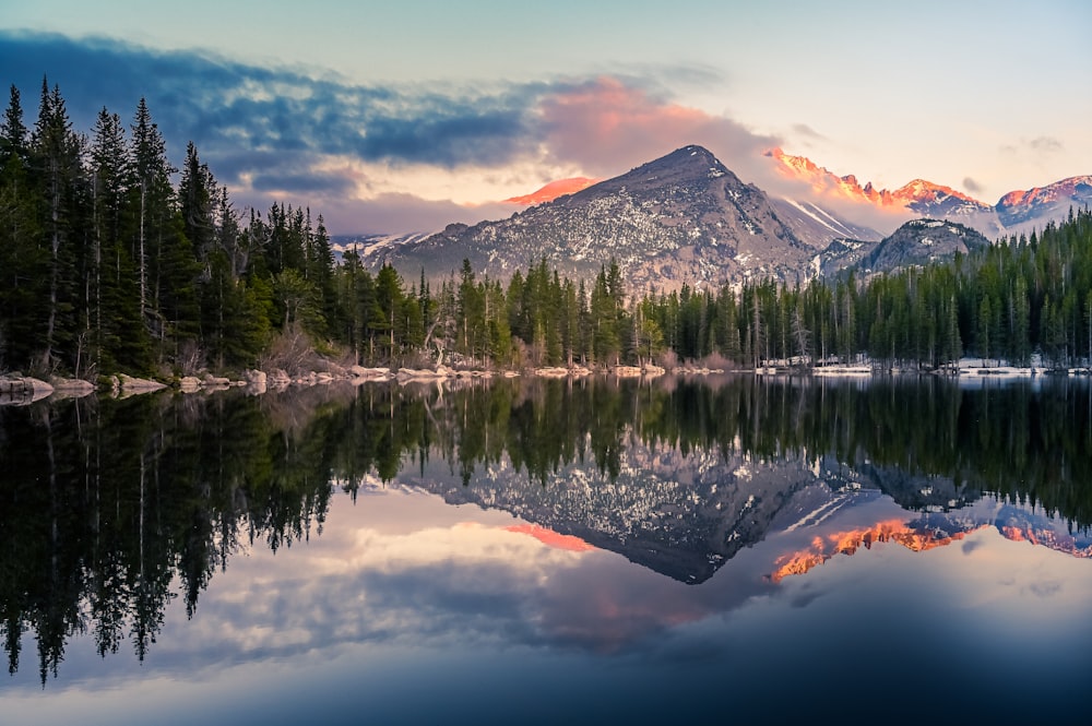 árboles que se reflejan en el lago tranquilo