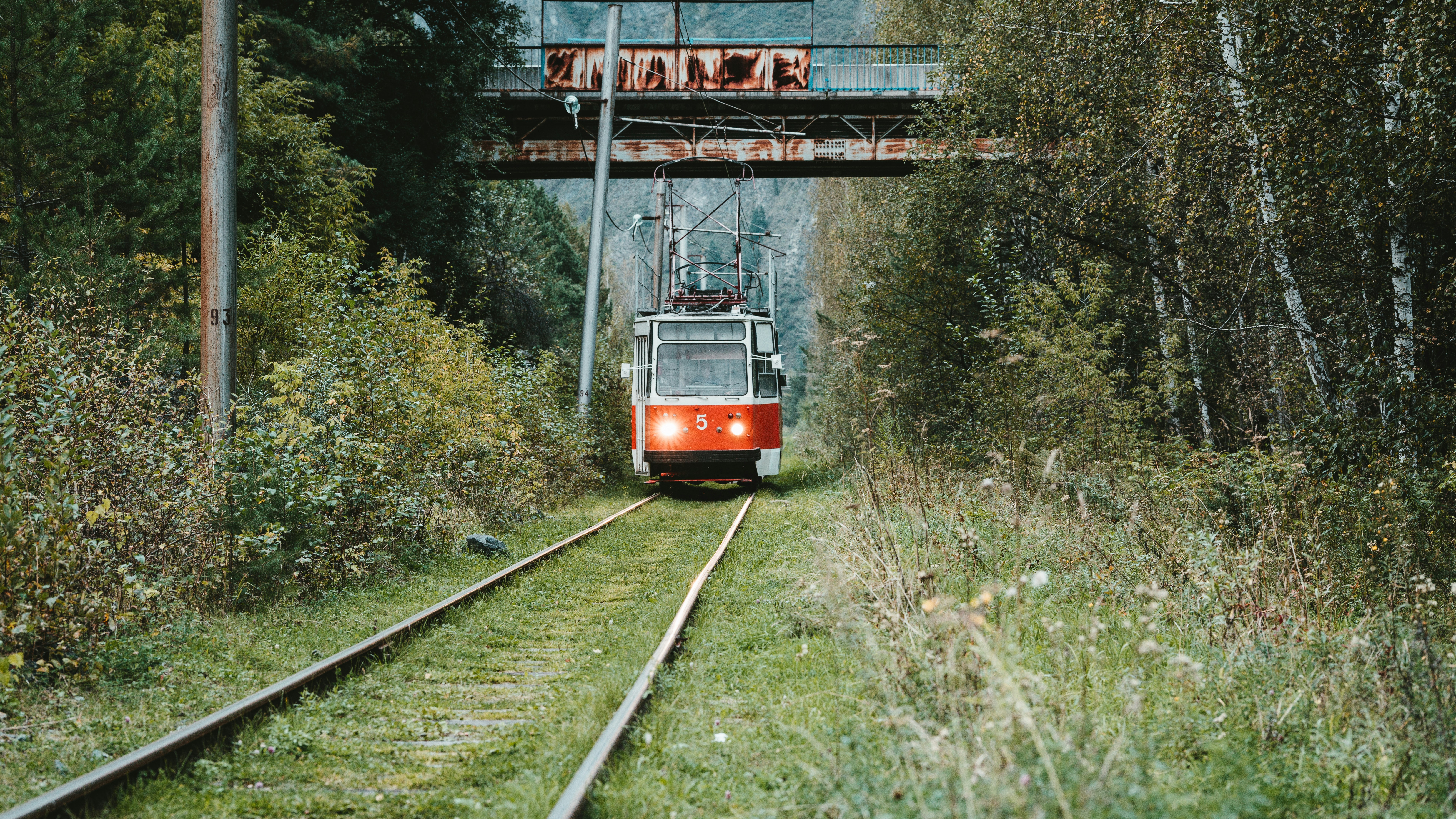 Harz Narrow Gauge Railway