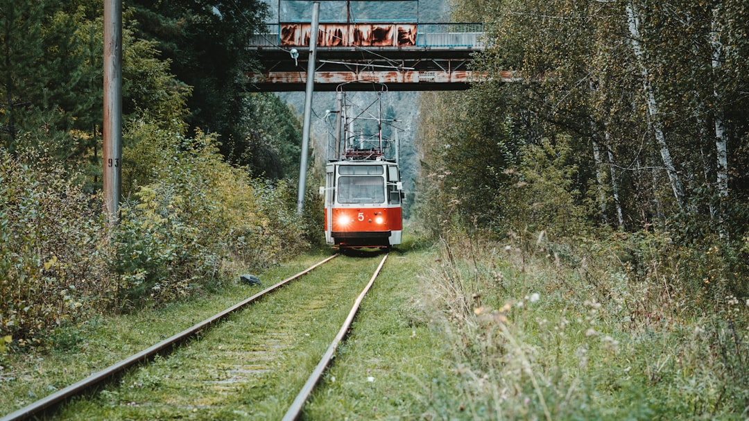 train on railway between trees