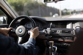person holding BMW steering wheel