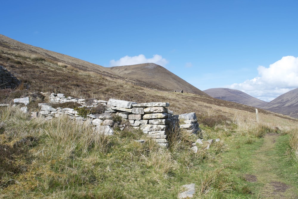 pile of gray bricks on grass