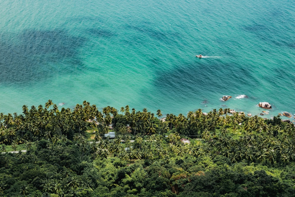 blue body of water beside green-leafed trees during daytime