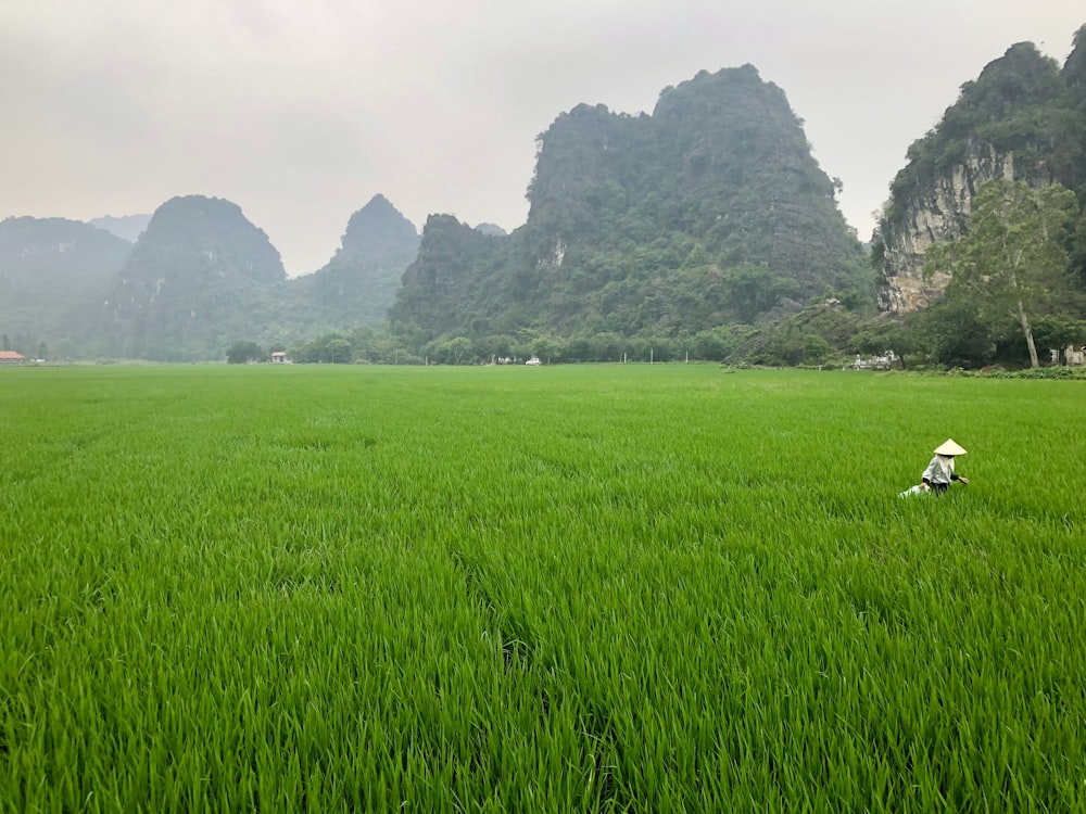 green field near mountains at daytime