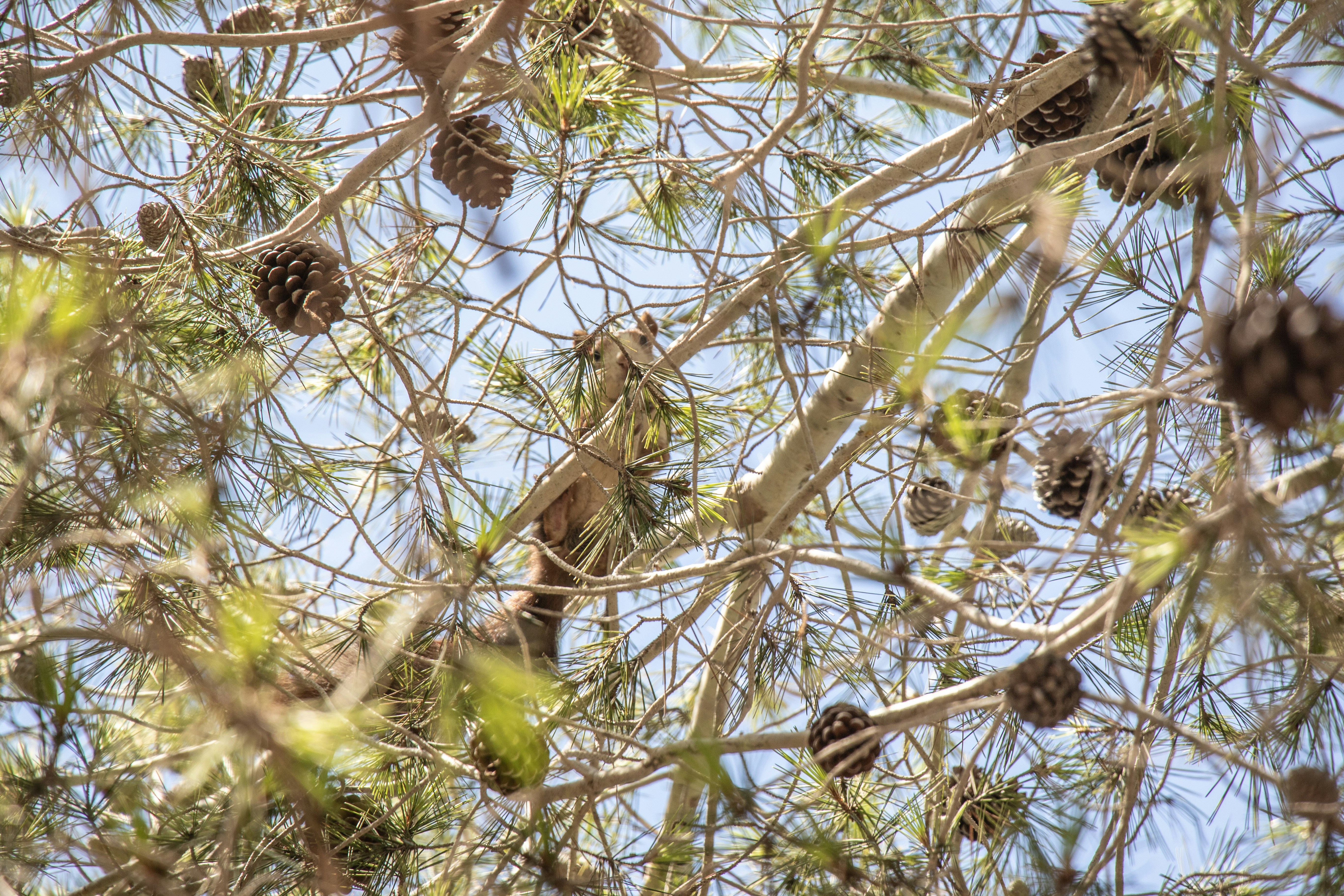 Photo by lennyvancamp