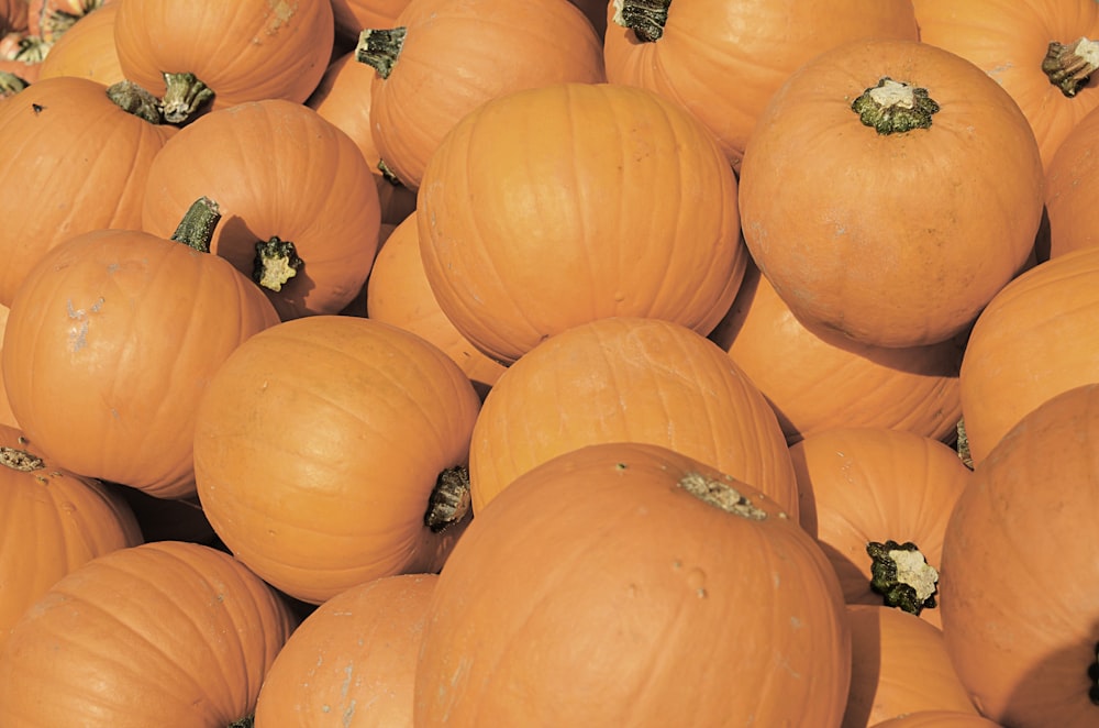 orange pumpkins