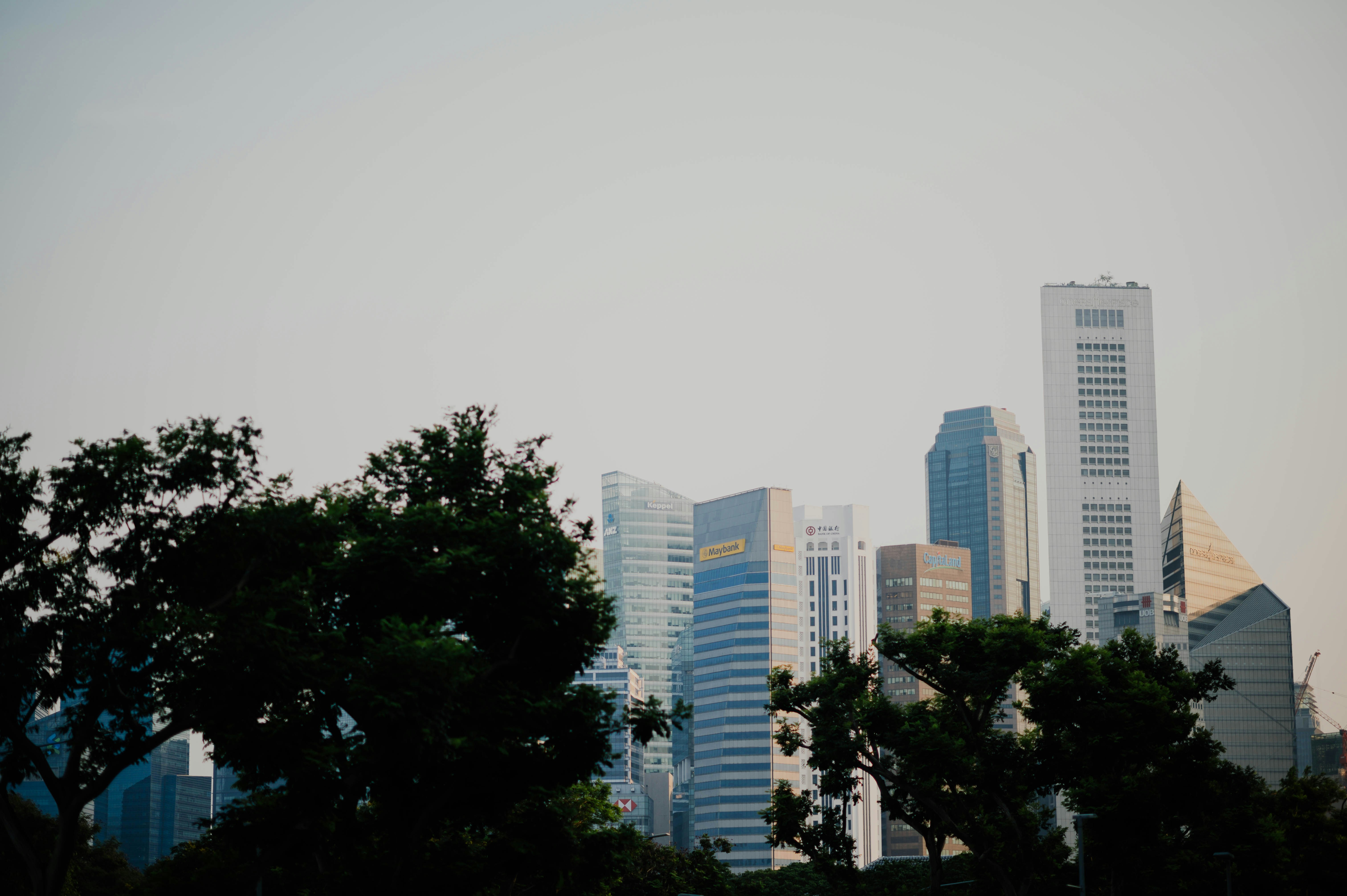 Photo by chuttersnap