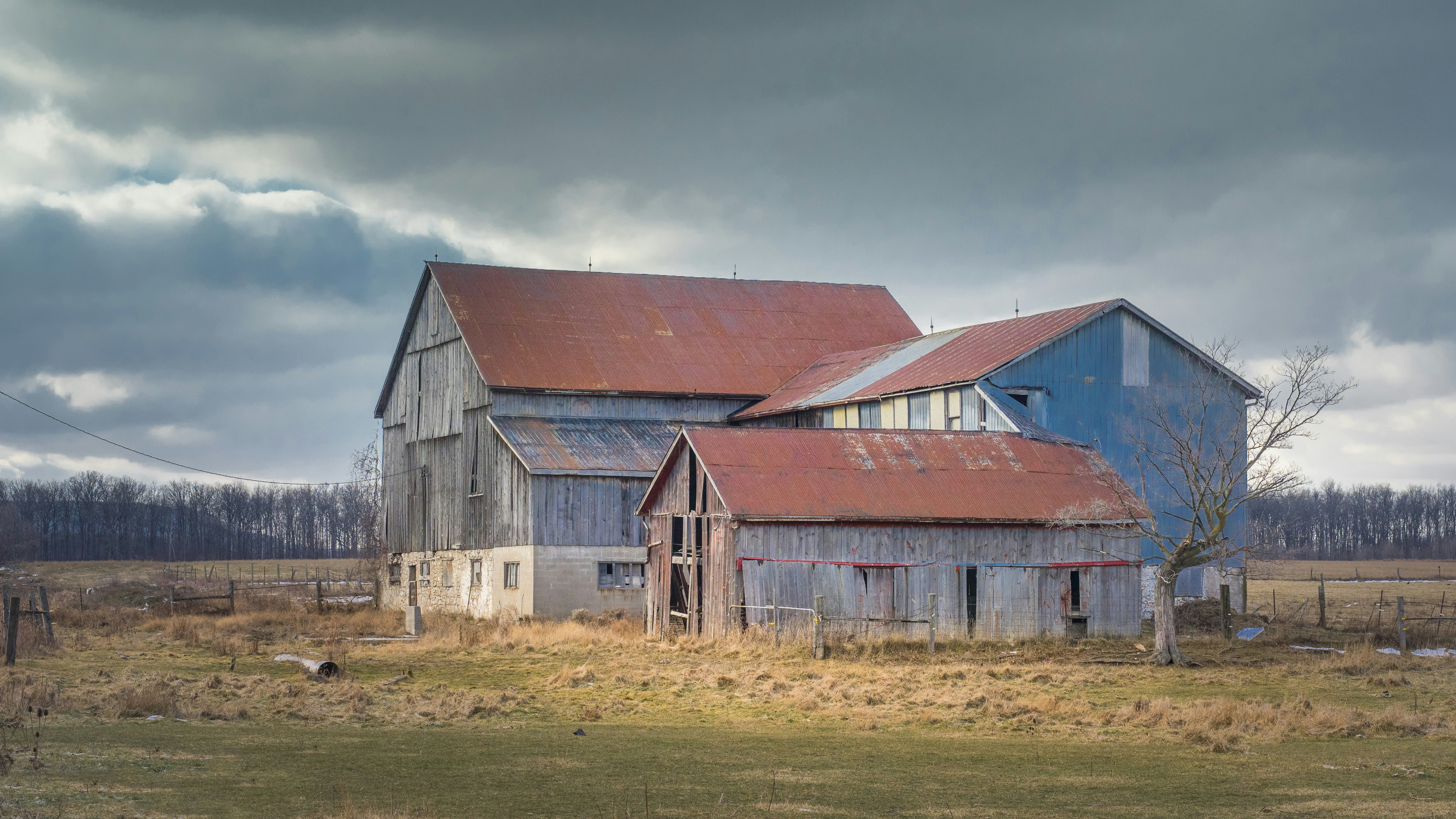 Hornby Ontario Pictures Download Free Images On Unsplash