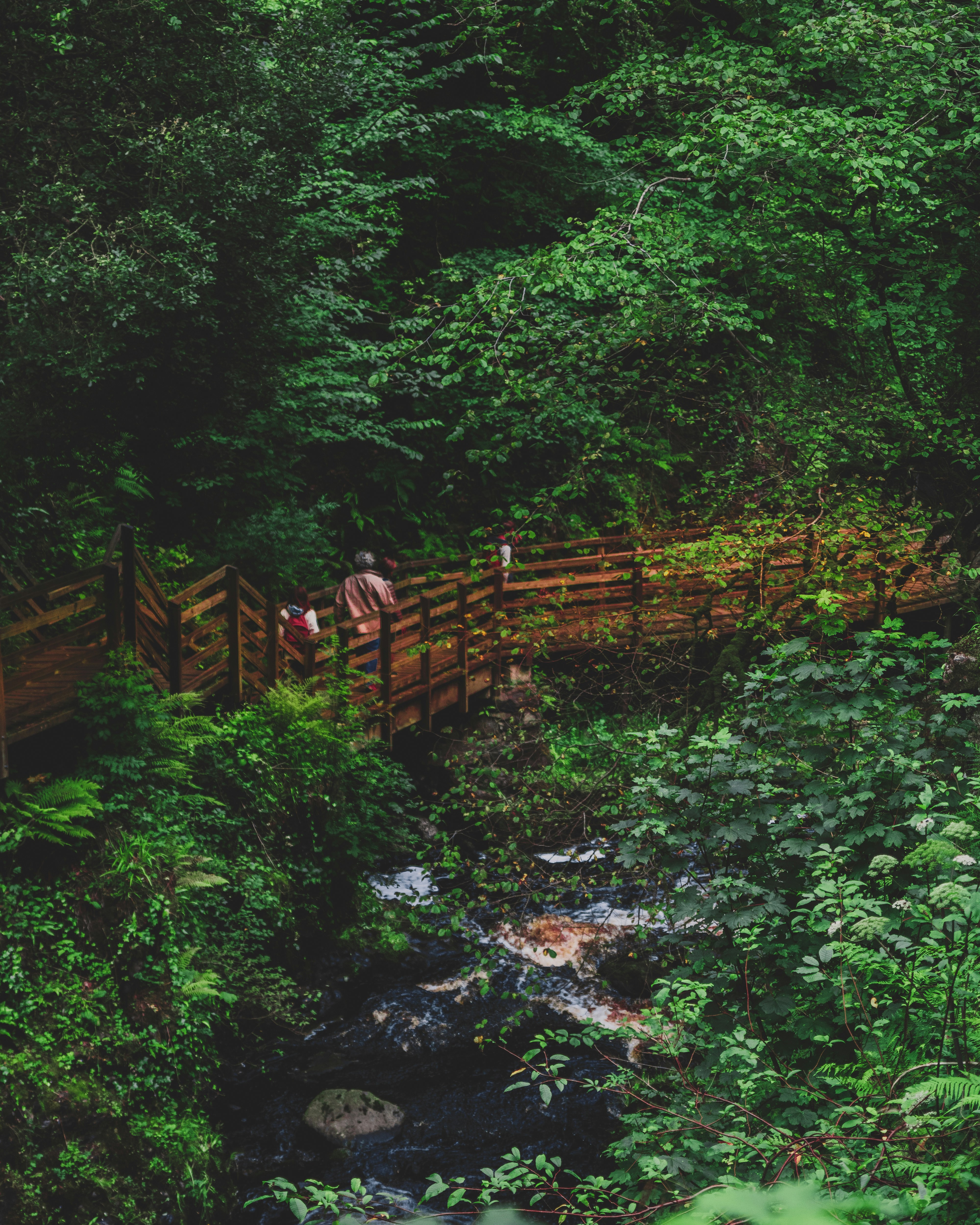 Photo by andreaferrario