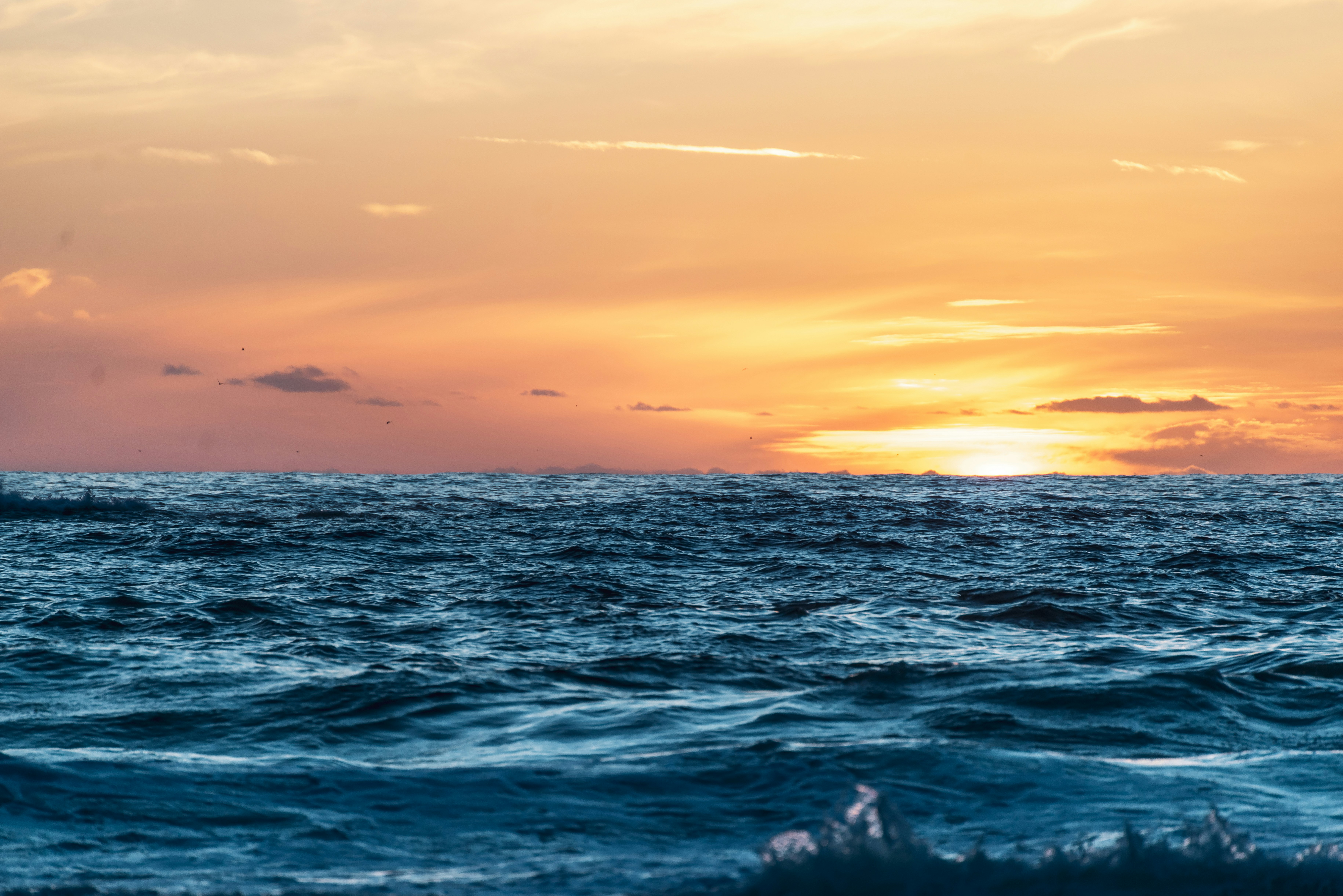 Photo by camerongouws