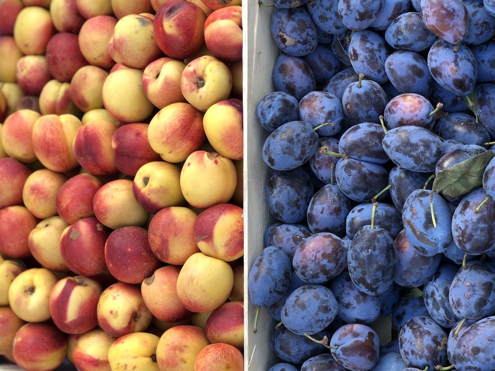 bunch of peaches and blueberries