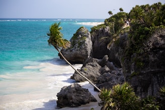 sea and rocks during daytime