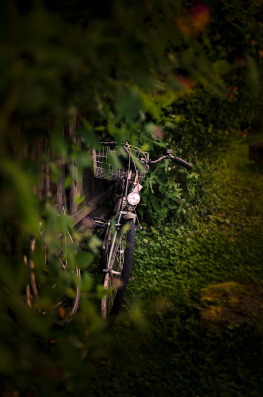 selective focus photo of green and brown road bike in Bietigheim-Bissingen Germany