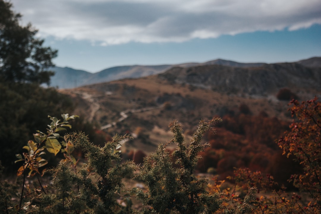 birds eye photography of mountain