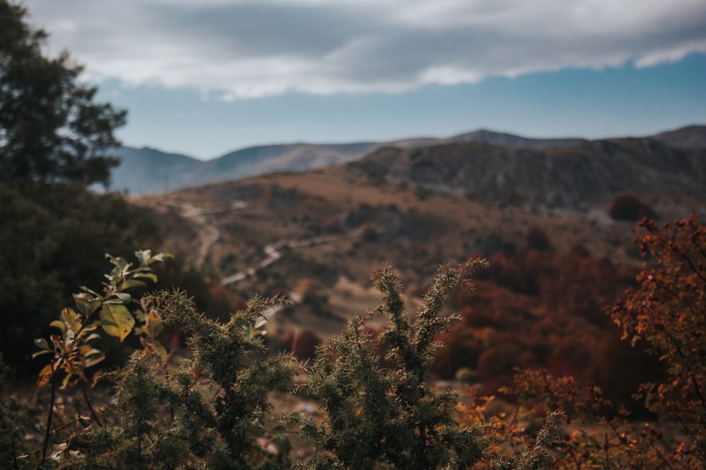 birds eye photography of mountain