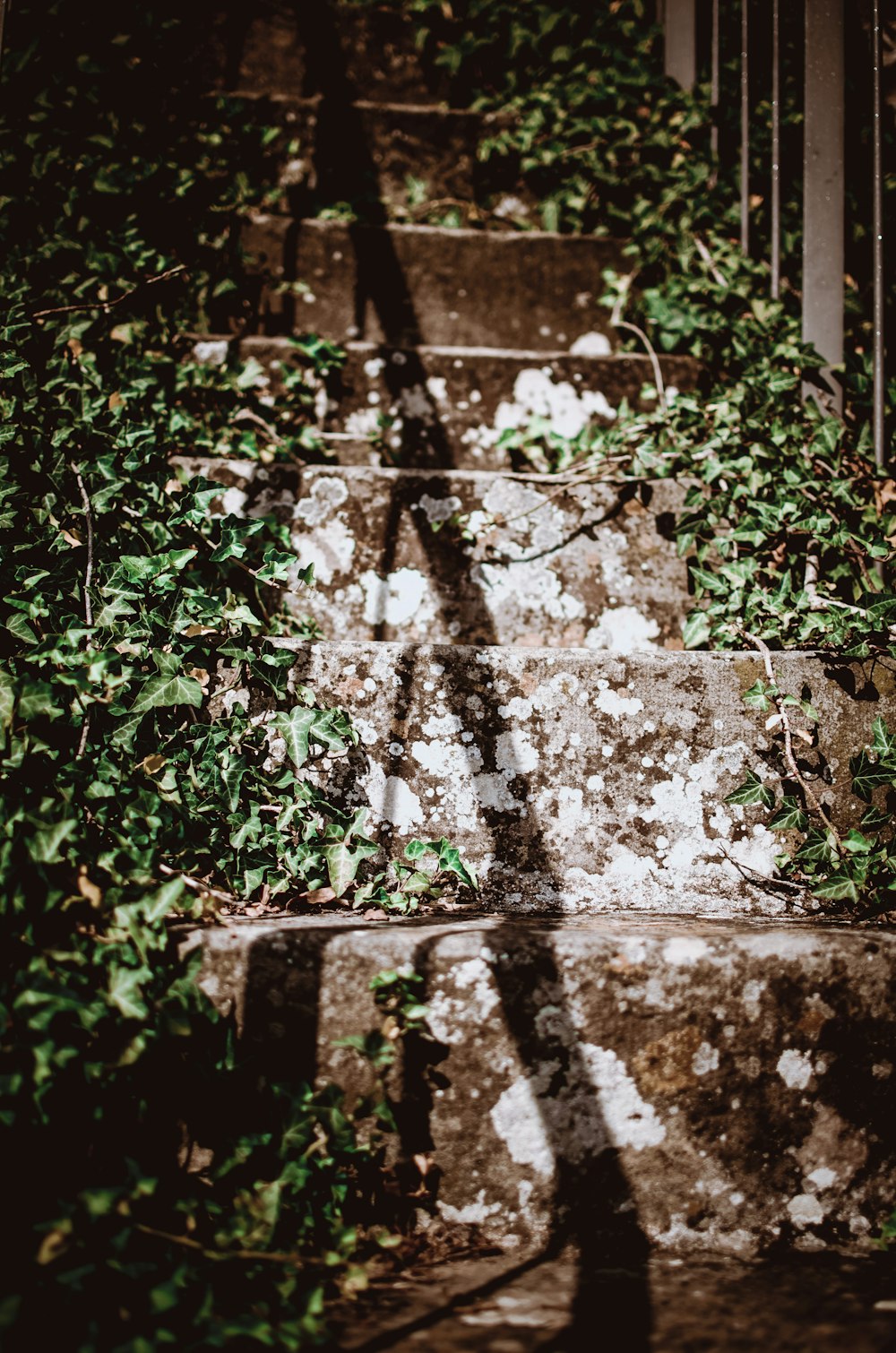 brown stairs