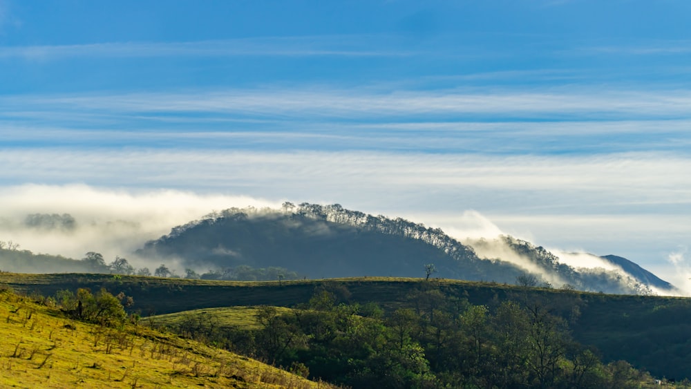 a grassy hill with trees and clouds in the background