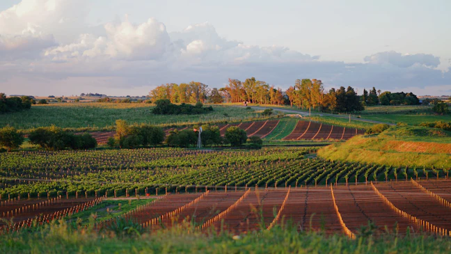 15-Day Argentina Luxury Itinerary: Glaciers, Wine & Tango