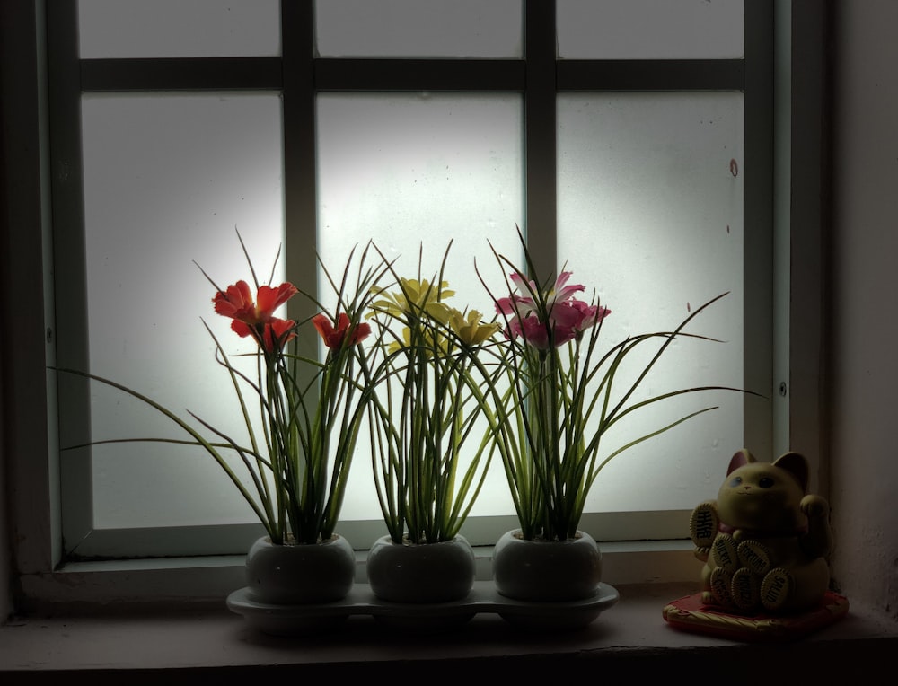 a window sill with three pots of flowers in front of it