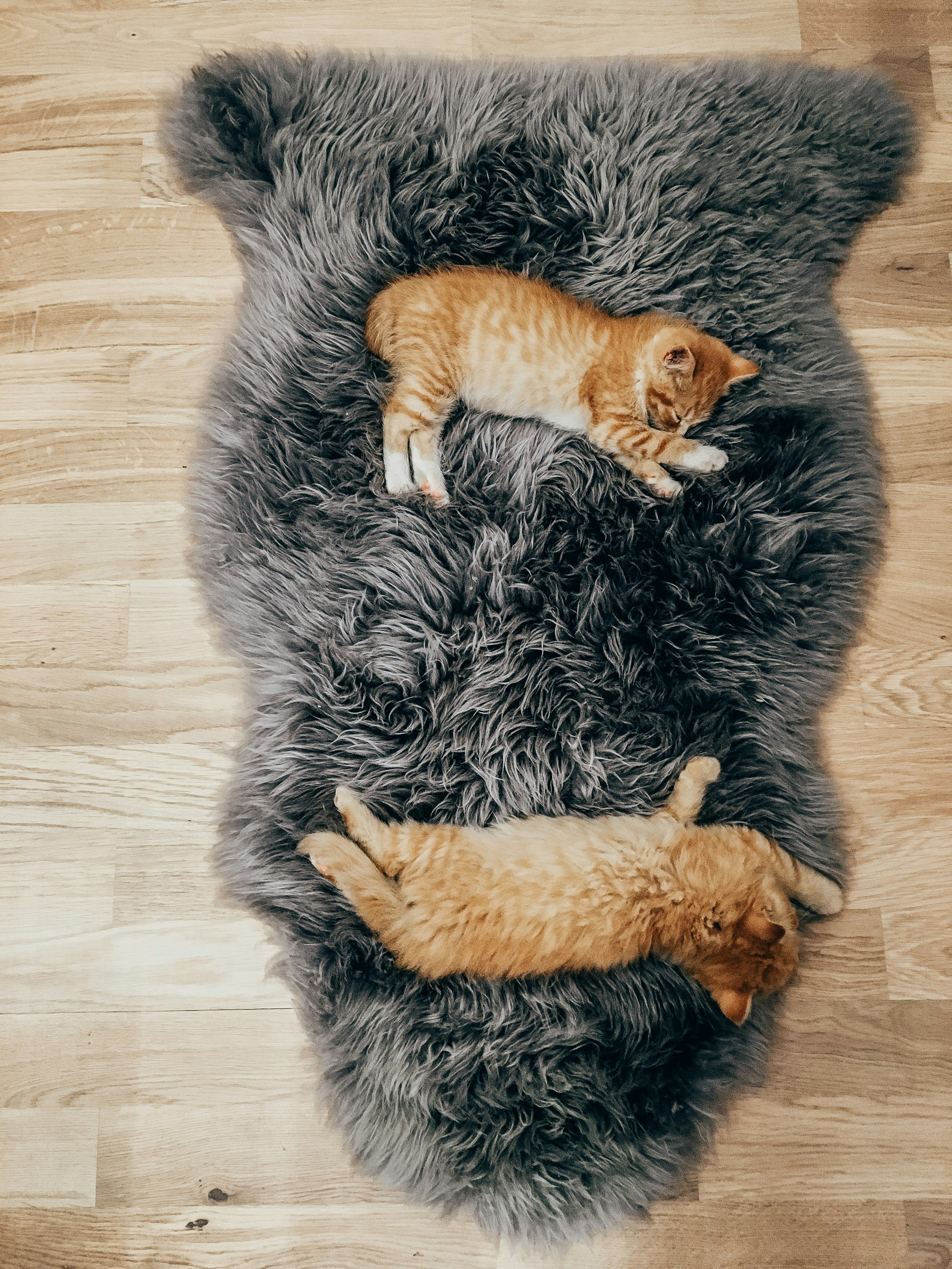 What Capacity Should I Choose For My Household Size?