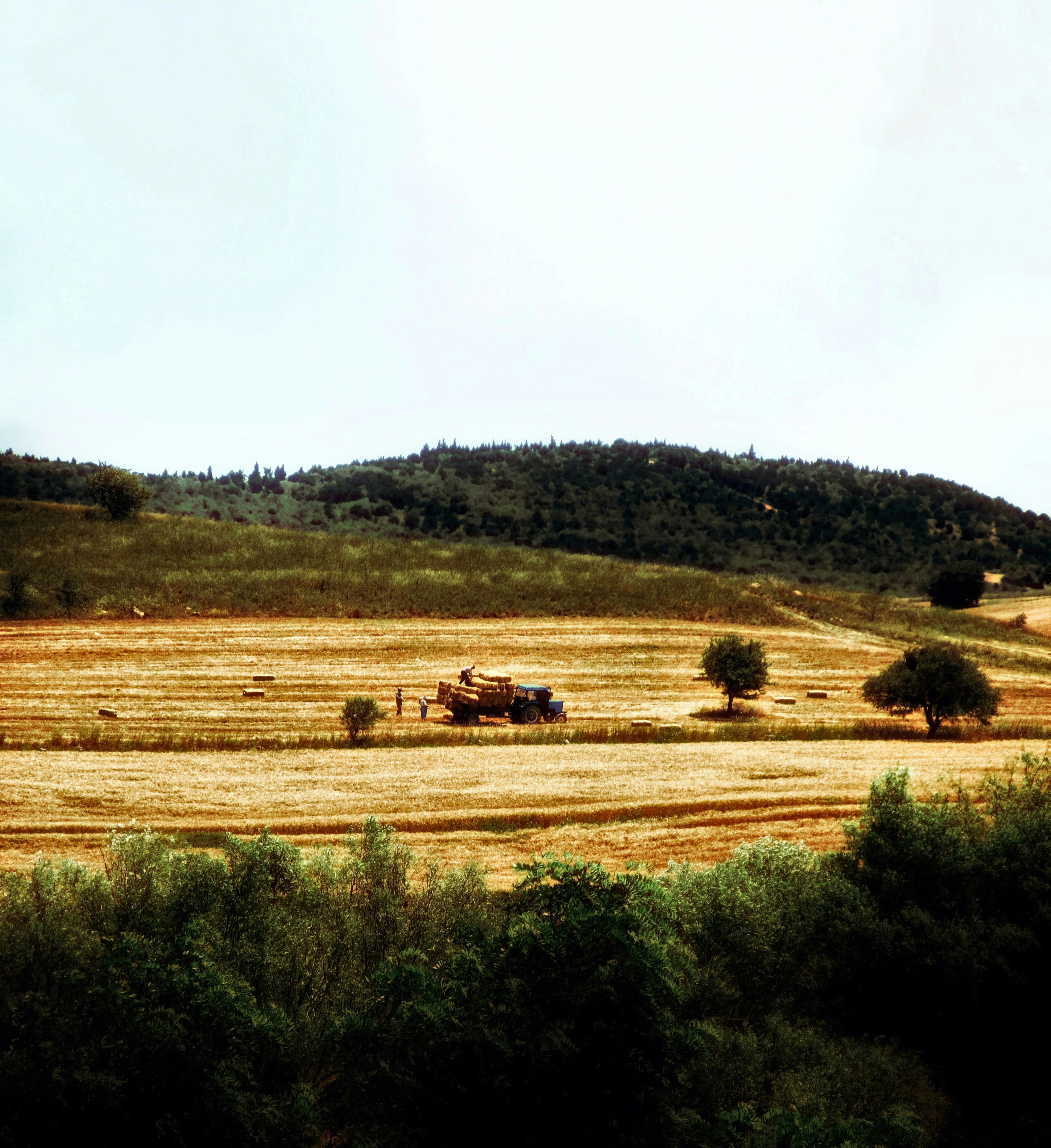 Photo by abdullahoguk
