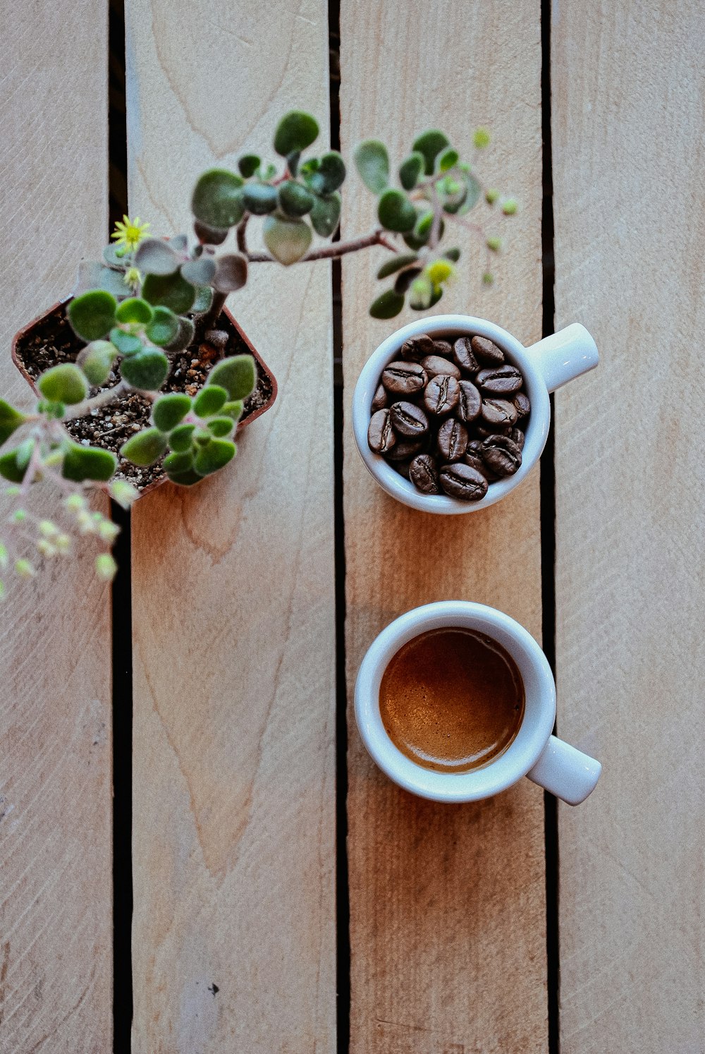 Tasse Kaffeebohnen