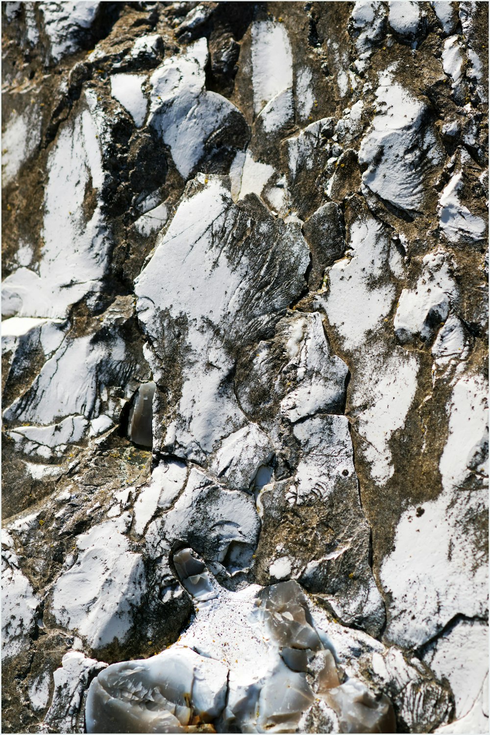 Fotografía macro de roca blanca y gris