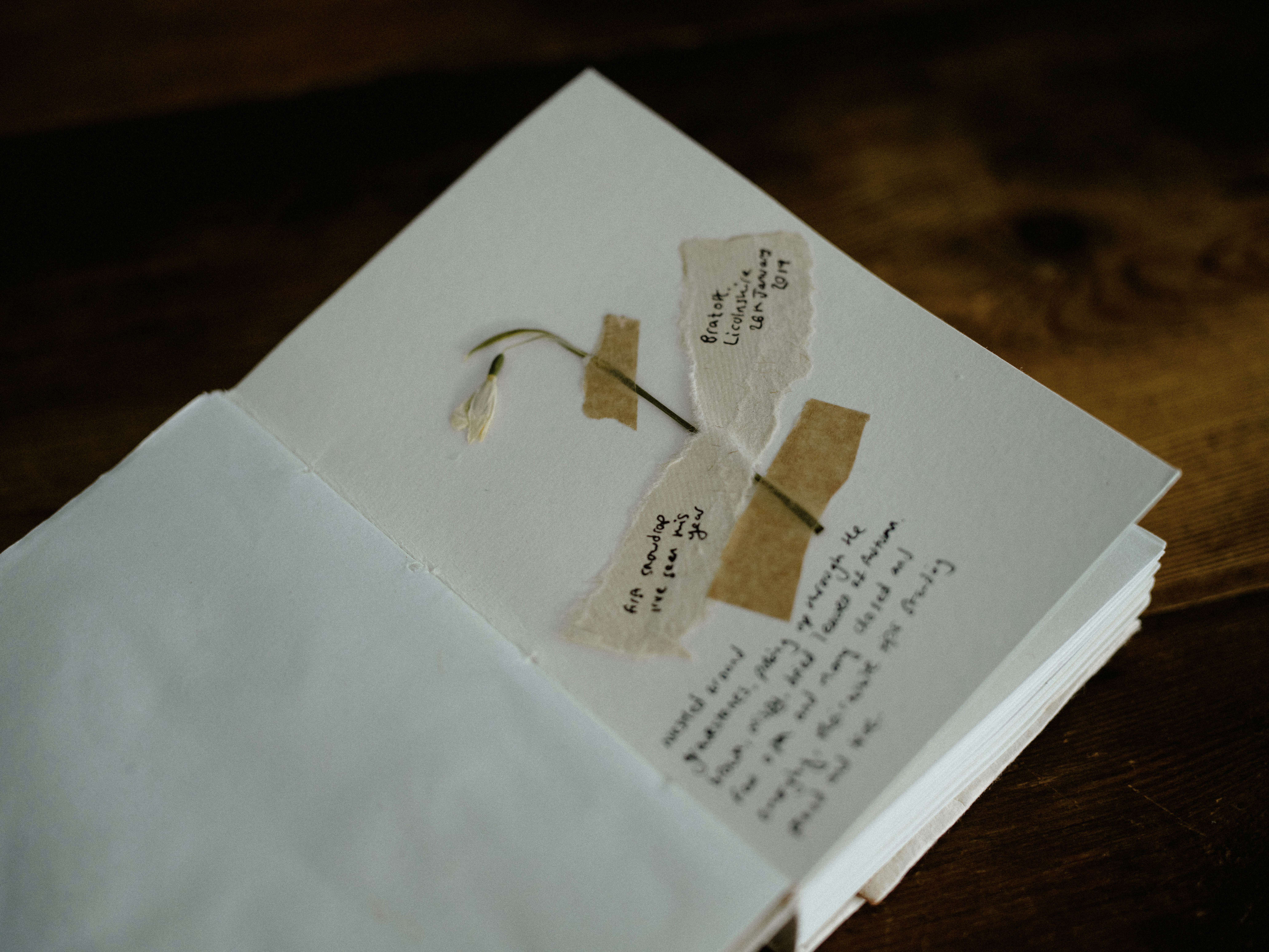 Photo by anniespratt