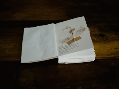 An open book with handwritten reflections and dried flowers placed gently on the pages.