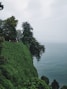 a group of people standing on top of a lush green hillside