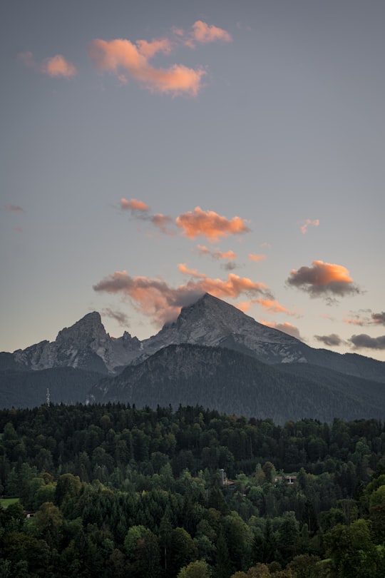 forest and mountains during day in Berchtesgaden Germany