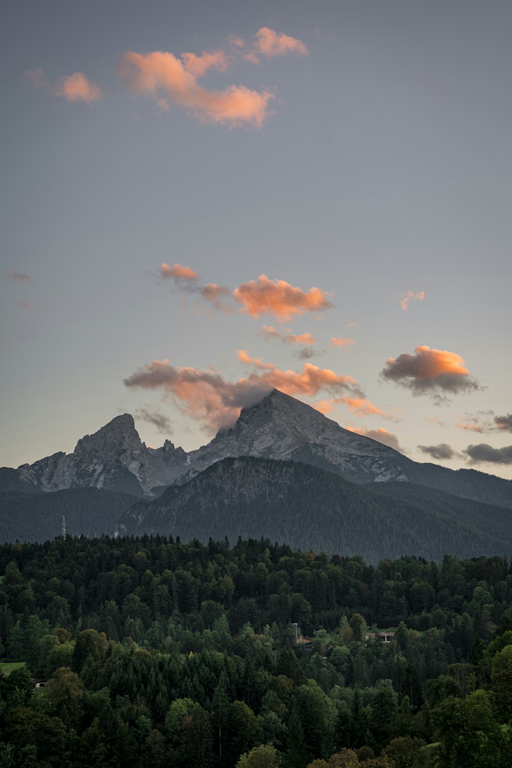 Wald und Berge tagsüber