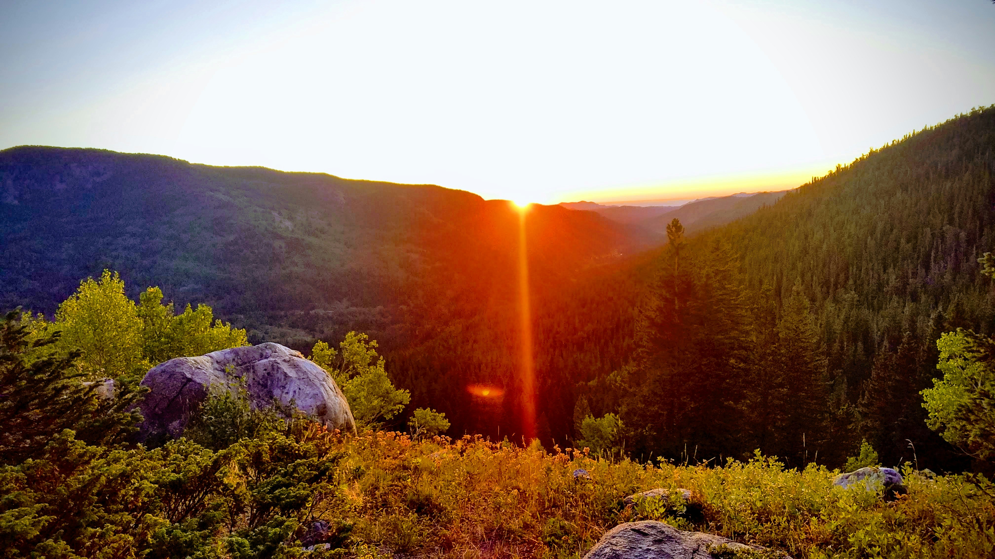 rocks and grass field near forest during day