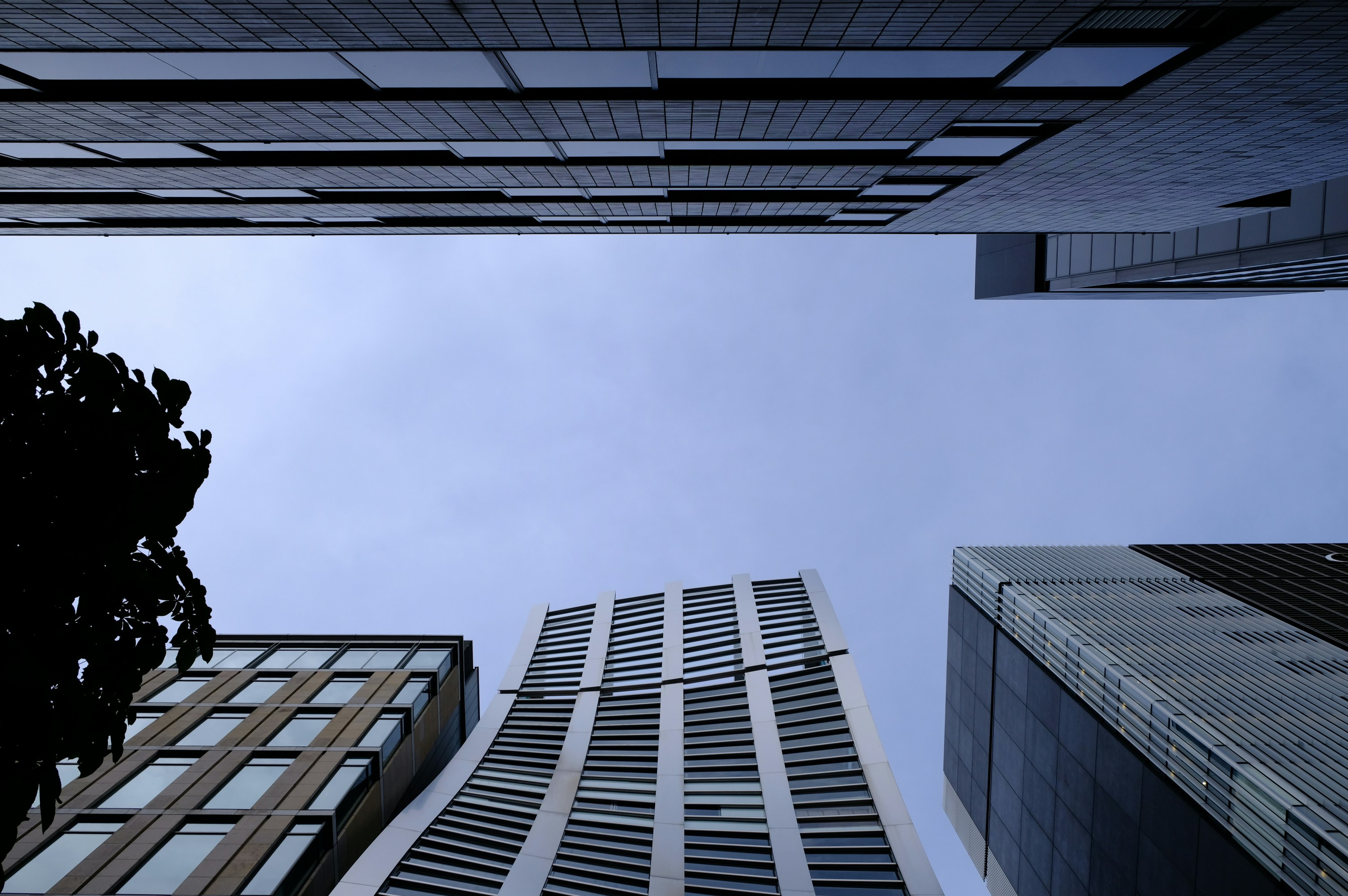 Photo by the0utsider