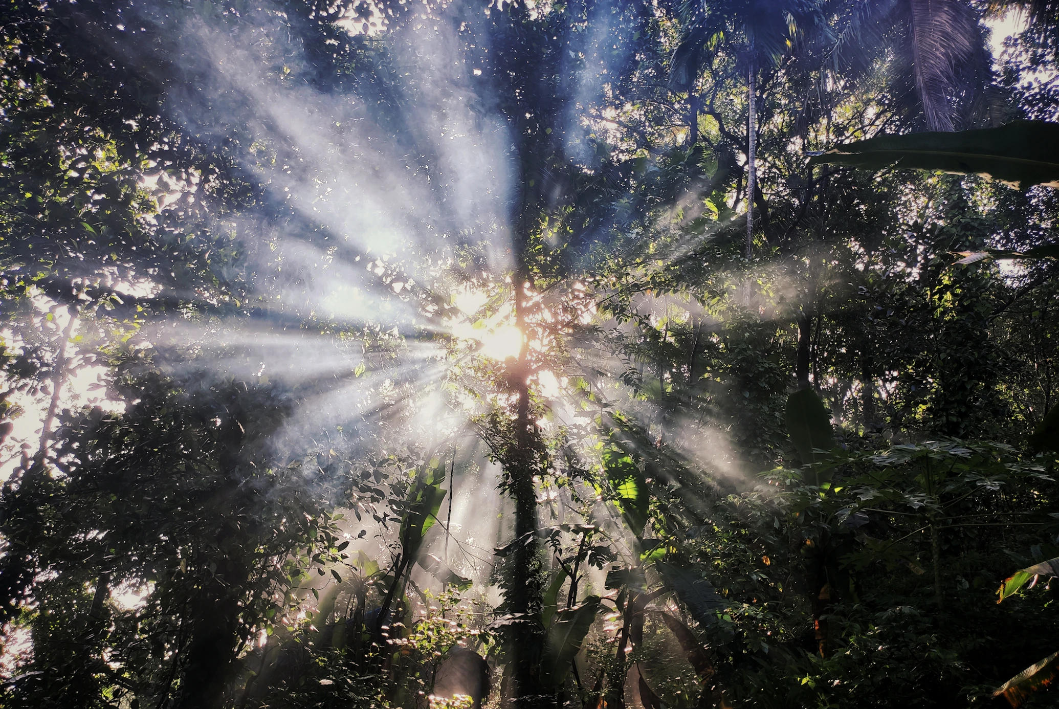 digital processes are at the forefront of this transformation