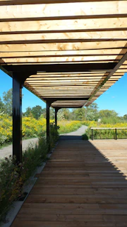A custom pergola in a backyard creating shade over a dining area surrounded by greenery