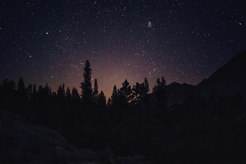 A glowing orb hovering over a dense forest under a starry night sky.