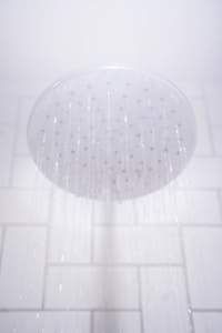 Handheld Showerhead