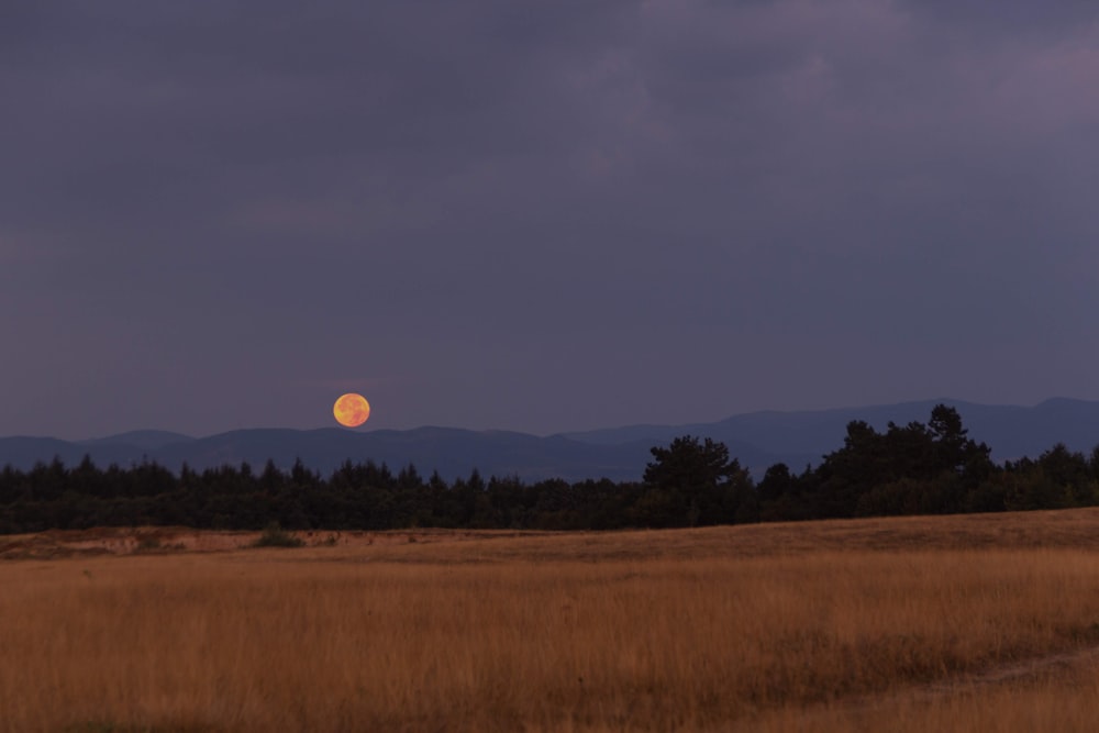 brown field viewing mountain and full moon