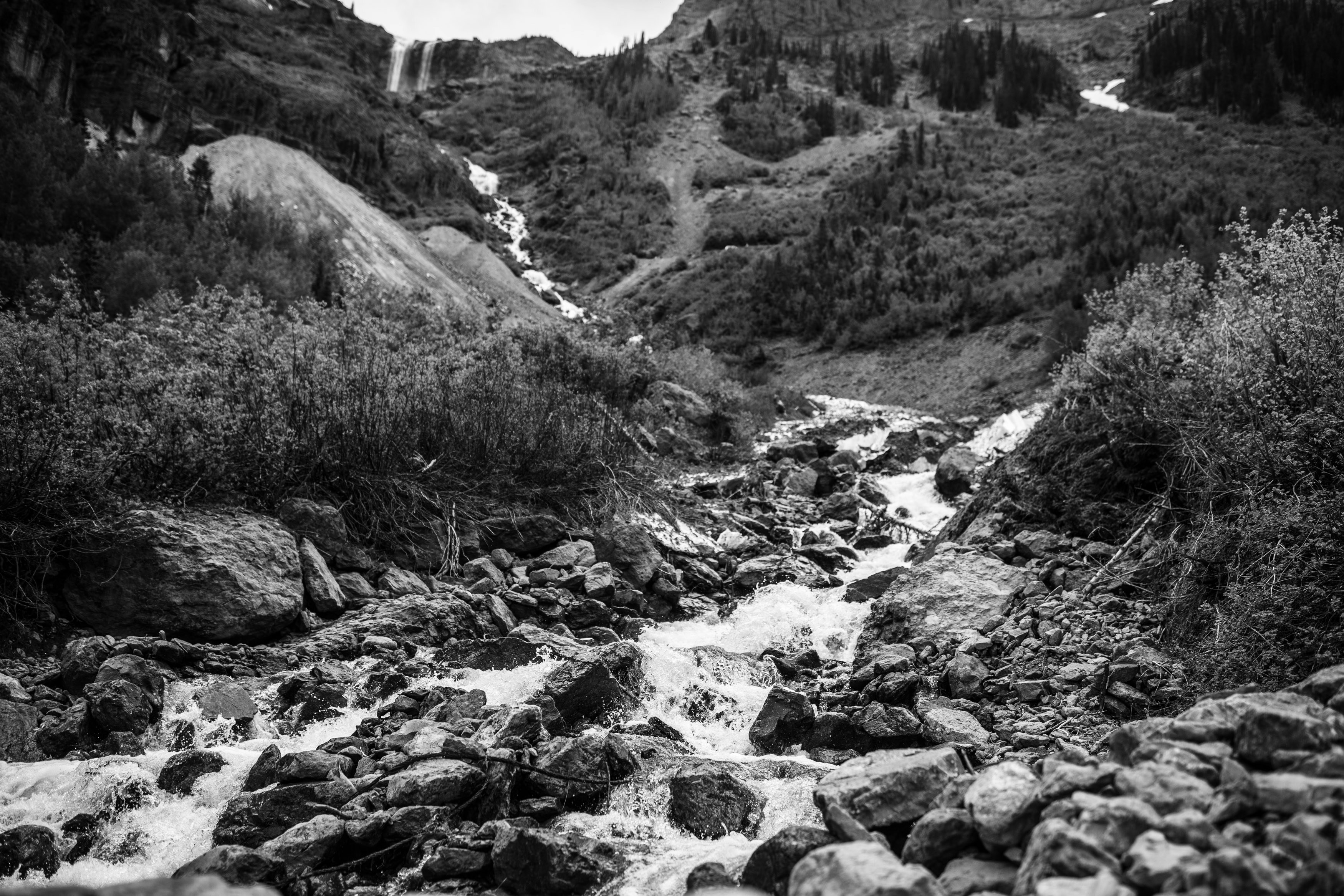 Photo by mike_franke