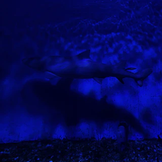 Great Blue slot game with a deep ocean theme and animated shark swimming.