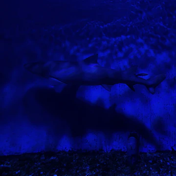 Great Blue game showing a thrilling deep-sea adventure