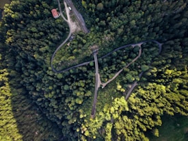 An aerial view of a densely forested area with a winding road cutting through. A small building with a red roof is visible near the top of the image. The forest consists of tall trees with varying shades of green, indicating healthy and lush vegetation. The layout suggests a serene and secluded natural environment.