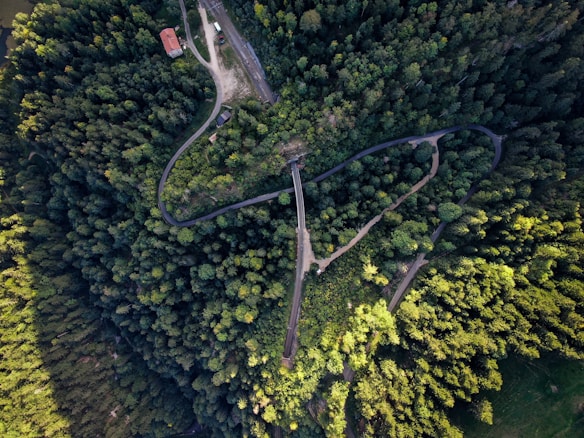 An aerial view of a densely forested area with a winding road cutting through. A small building with a red roof is visible near the top of the image. The forest consists of tall trees with varying shades of green, indicating healthy and lush vegetation. The layout suggests a serene and secluded natural environment.