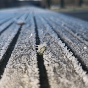 Close-up of a colorful ice agent wielding icy weapons, set against a frosty background.