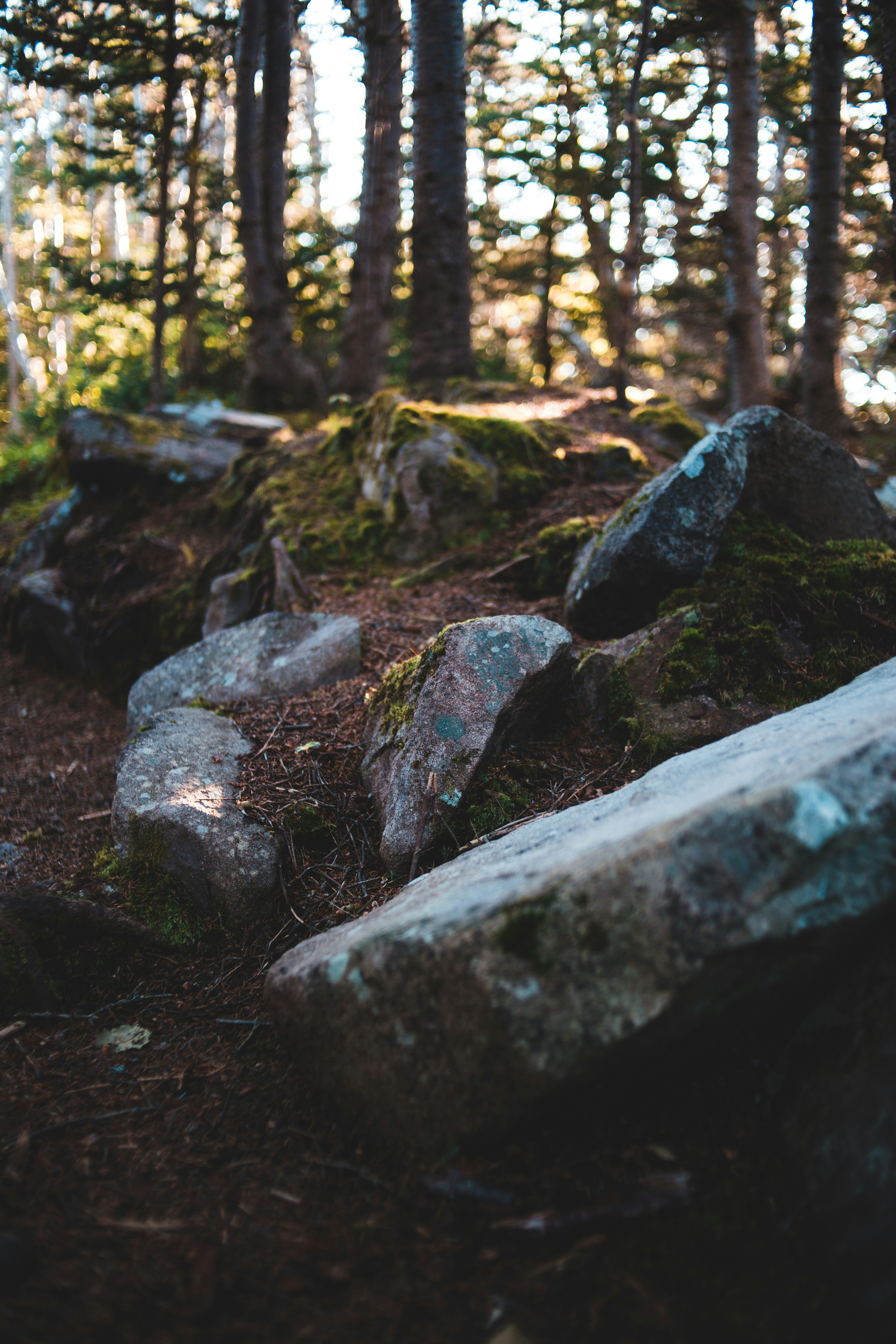 Photo by introspectivedsgn