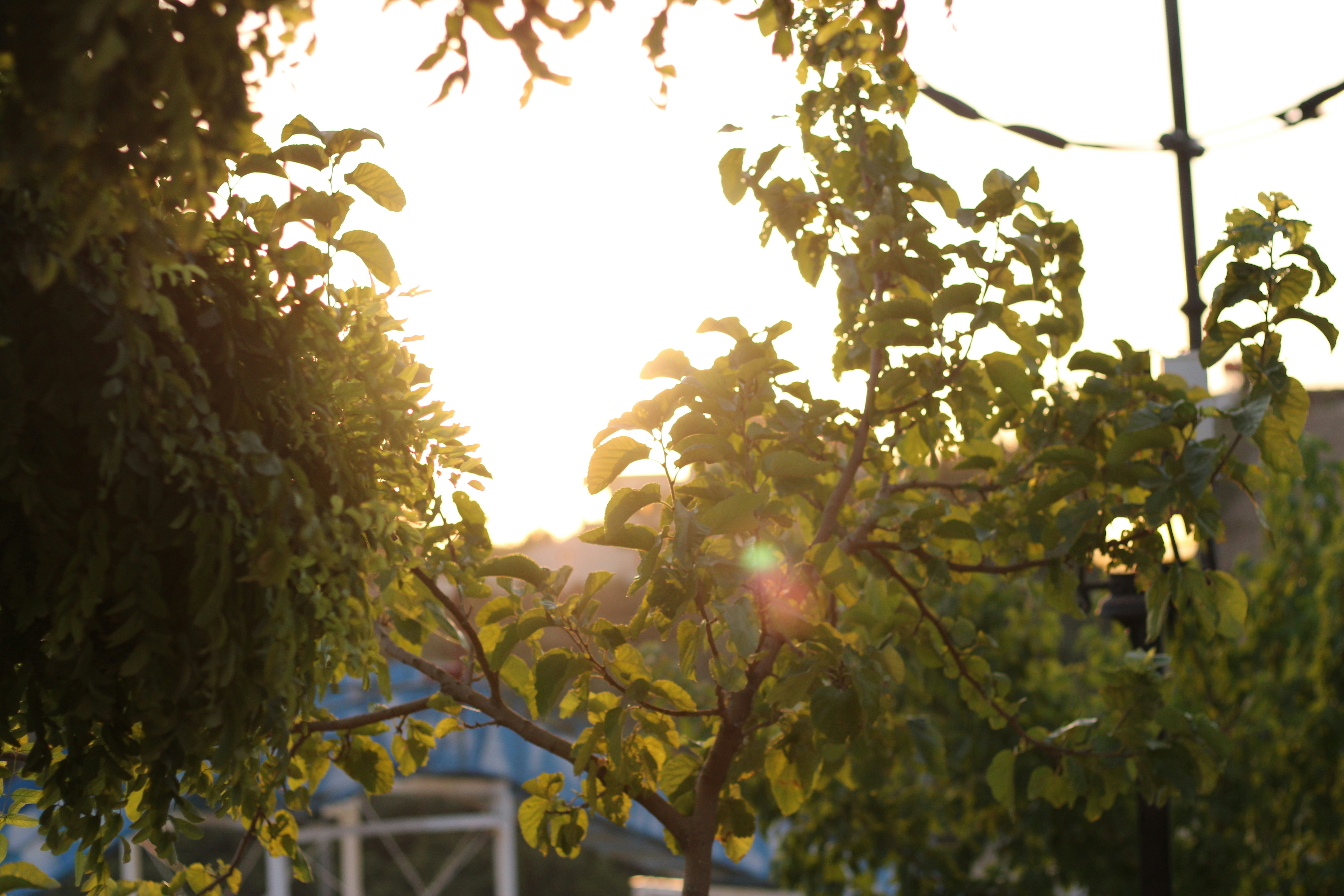 Photo by hussain_550c