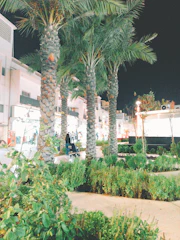 Nighttime pest control service in progress at a Miami property.