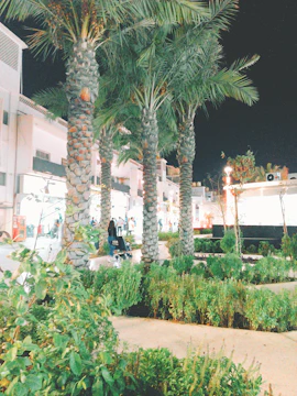 Nighttime pest control service in progress at a Miami property.