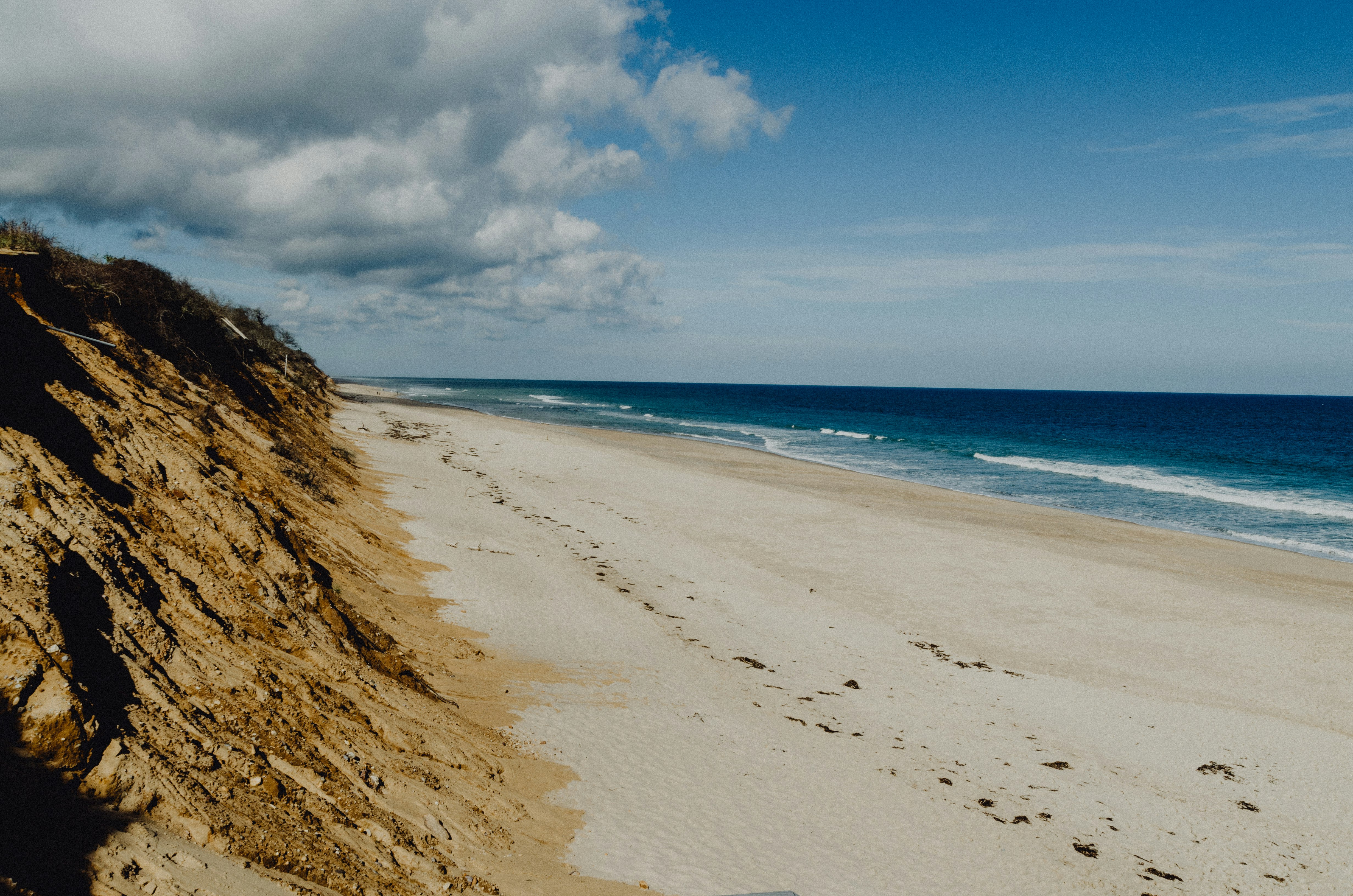 photography of seashore during daytime