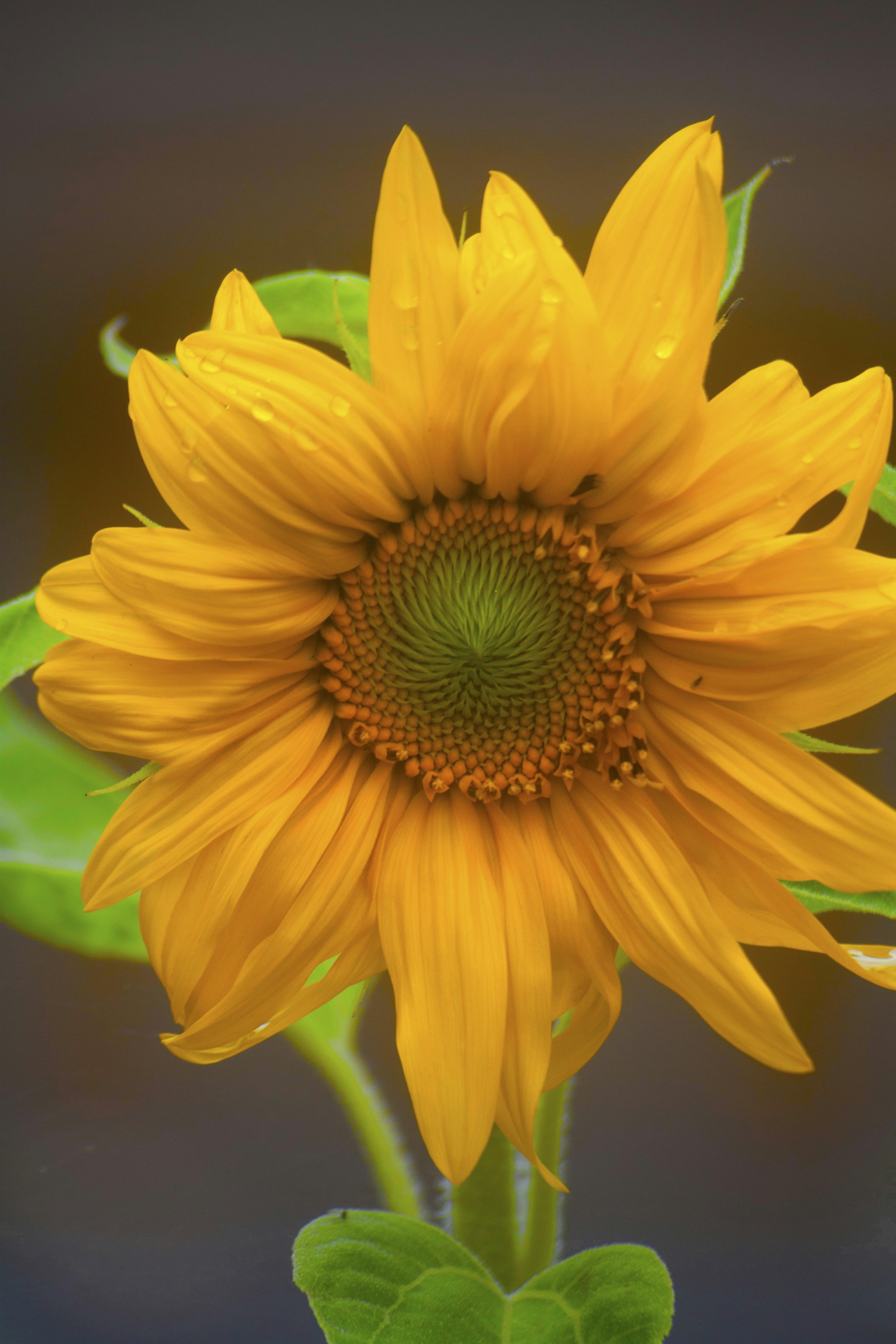 Photo by theboss0161